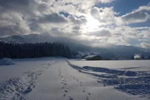 Winter Bild 2