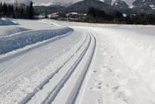 Winter Bild 6