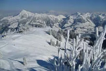 Winter Bild 5