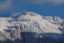 Winter Bild 15