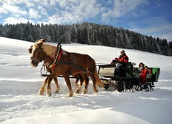 Romantische-Pferdeschlittenfahrt Romantische-Pferdeschlittenfahrt